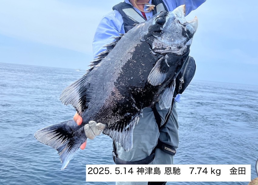 石鯛倶楽部 Amazon.co.jp: 石鯛倶楽部 2012年 1月号 (147) : 釣春秋: 本